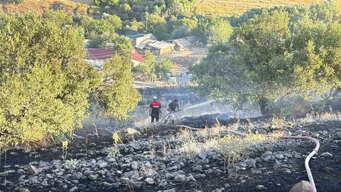 Elazığ'da Otluk Arazi Yangını Çıktı