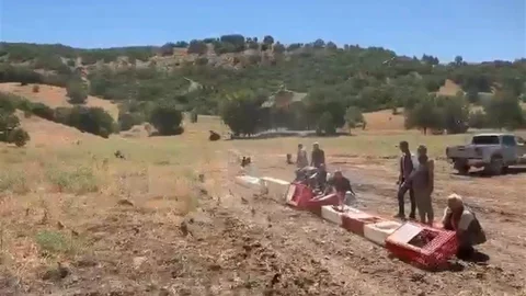 Elazığ’da Keklikler Doğaya Bırakıldı