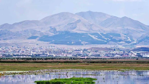 Amerika'nın Erzurum Belgesi Ortaya Çıktı