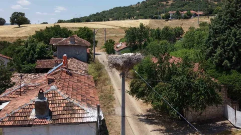 Kütahya'da Leylekler Sofça Köyü'nün Maskotu Oldu