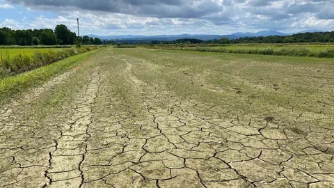 Sinop'ta Sulama Hattı Patladı