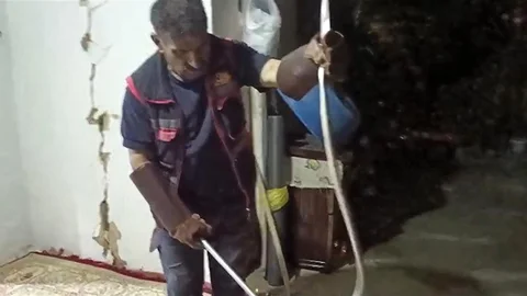 Hakkari'de Yılan Panik Yaratıyor
