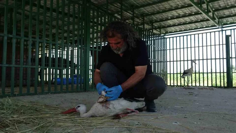Van'da Yaban Hayvanları Kreşi Tamamlandı
