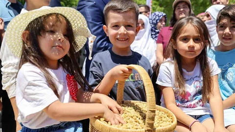 Ulukale Dutunda Yüksek Rekolte Beklentisi