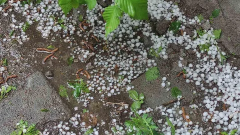 Ardahan'da Dolu Yağışı Tarım Arazilerine Zarar Verdi