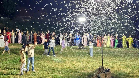 Şırnak'ta Düğün Alanını Kelebekler Sardı