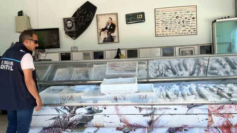 Didim'de Su Ürünleri Denetimleri Devam Ediyor
