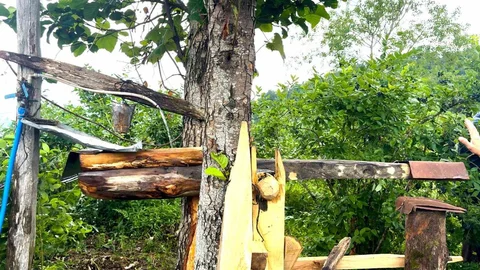 Rize'de Atadan Kalma Ayı Savarı Yöntemi