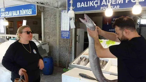 Mersin'de İlgi Çeken Yılan Balığı