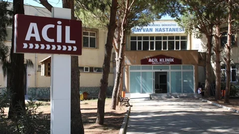 ADÜ Hayvan Hastanesi'nde Randevu Dönemi Başladı