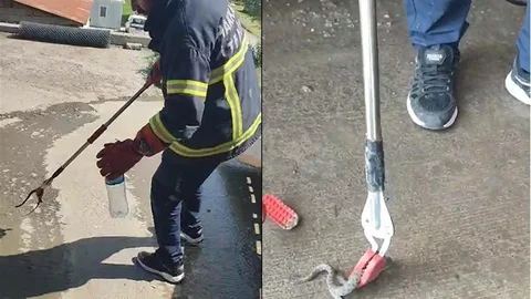 Hakkari'de Yılan Kurtarma Operasyonu