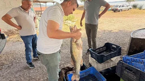 Beyşehir Gölü'nde Balık Denetimleri Devam Ediyor