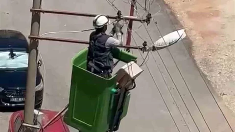 Elazığ'da Elektrik Tellerine Takılan Kuş Kurtarıldı