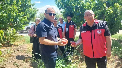 Çanakkale'de Bitkisel Üretim Projeleri İncelendi