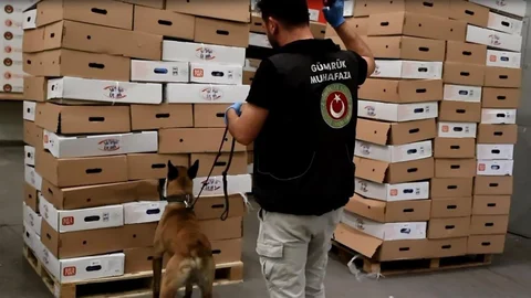 Kapıkule'de Uyuşturucu Operasyonu Başarıyla Gerçekleştirildi