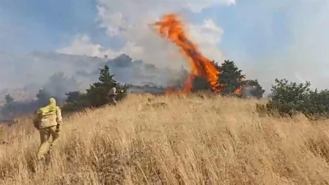 Bingöl'de Orman Yangını Kontrol Altında