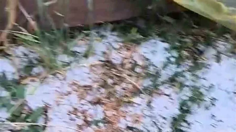 Edirne'de Dolu Yağışı Etkili Oldu
