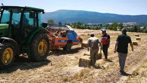 Kütahya Köprüören köyünde yem bezelyesi demonstrasyonunda hasat tamamlandı