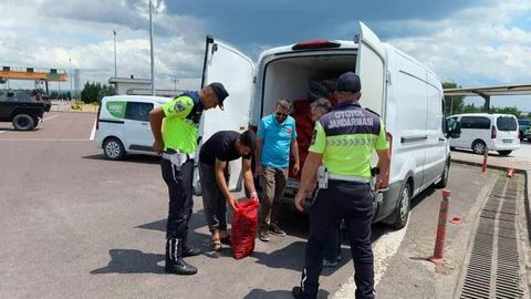 Yalova'da Kaçak Midye Operasyonu
