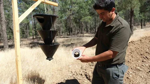 Kahramanmaraş'ta Biyolojik Mücadele Yöntemi