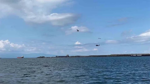 Savaş Helikopterleri Ereğli'de Eğitim Uçuşu Gerçekleştirdi