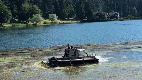 Bolu Gölcük Tabiat Parkı'nda Temizlik Çalışması