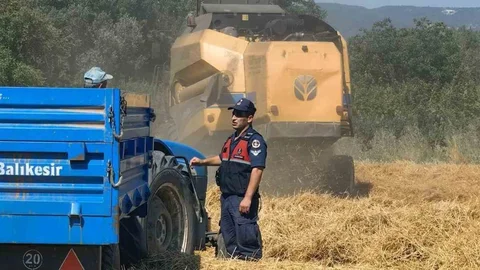 Bilecik'te Orman Yangını İle İlgili Soruşturma Başlatıldı