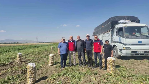 Dinar'da Patates Hasadı Heyecanı