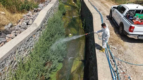 Kahramanmaraş'ta Haşere İlaçlama Çalışmaları