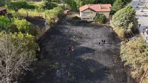 Karabük'te Kaplumbağalar Kurtarıldı