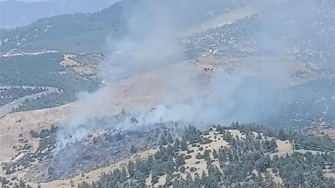 Kahramanmaraş’ta Orman Yangını Kontrol Altında
