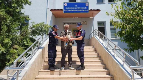 Yozgat'ta Yaralı Leylek Tedavi Ediliyor