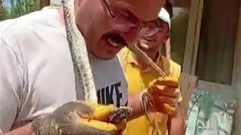 Amasya'da Yılan Panik Yarattı