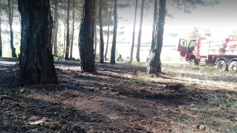 Tavşanlı'da Orman Yangını Kontrol Altına Alındı