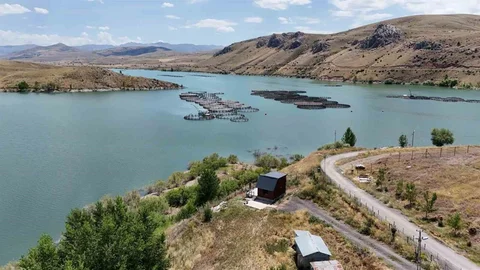 Erzincan'da Alabalık Üretimi ve Somona Dönüşüm