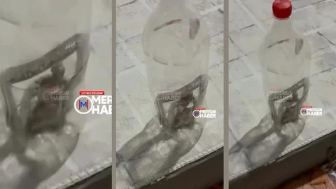 Toroslar Evrenli'de Evin İçinde Yılan Yakalandı
