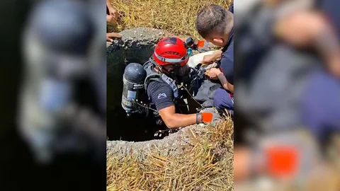 Çamlıyayla’da 18 Metre Derinliğindeki Kuyuya Düşen Keçi Sağ Salim Kurtarıldı