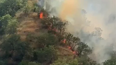 Kastamonu'da Orman Yangını Uyarısı