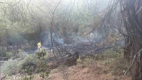 Bilecik’te Yangın Denetimi Sağlandı