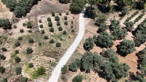 Bozdoğan'da Yol Çalışması Tamamlandı