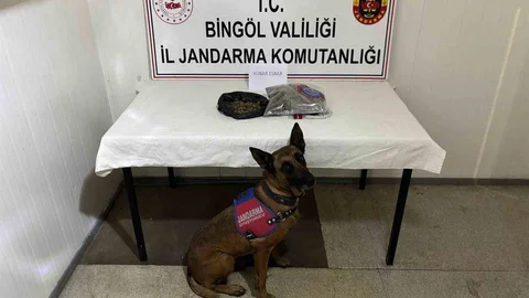 Bingöl'de Hapis Cezası Olan 4 Zanlı Tutuklandı