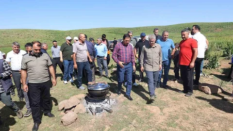 Bingöl Yaylaları Artık Hayvancılığın Merkezi