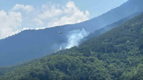 Karabük'te Orman Yangınına Müdahale Yapılıyor