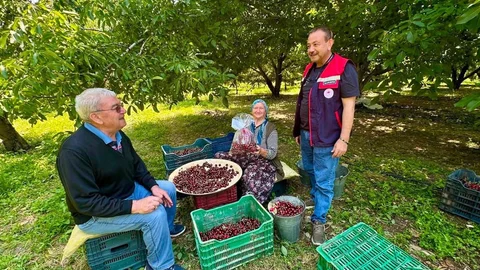 Afyonkarahisar'da Kiraz Hasadı Denetimi