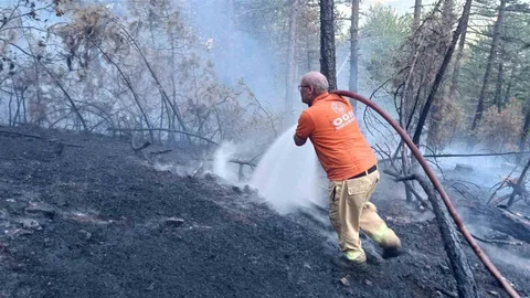 Karabük'te Orman Yangını Kontrol Altına Alındı