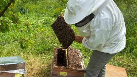 Artvin'de Bal Hasat Sezonu Öncesi Buluşma