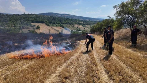 Karabük'te Anız Yangını Kontrol Altına Alındı