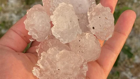 Tekirdağ’da dolu ayçiçeği ve karpuz tarlalarını vurdu