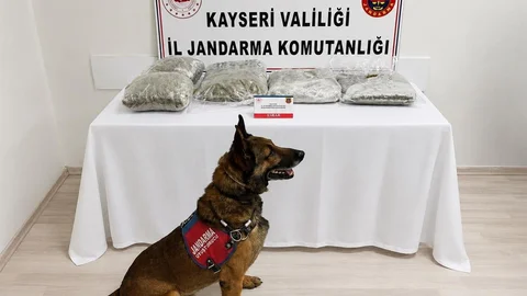 Kayseri'de Uyuşturucu Operasyonu
