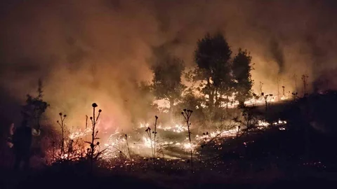 Şırnak'ta 120 Dönüm Buğday Tarlası Yandı